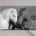 Horse Love Canvas Wall Art