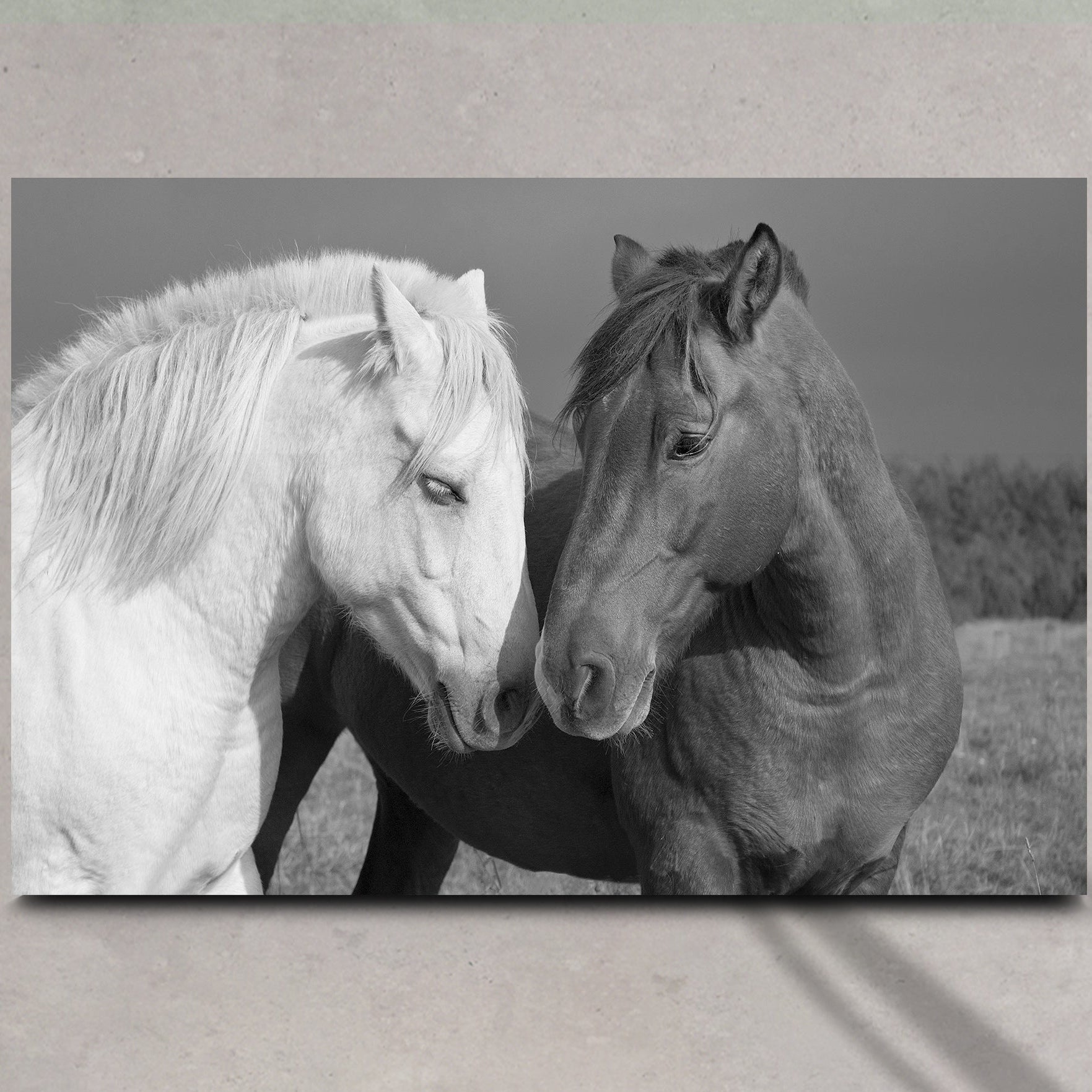 Horse Love Canvas Wall Art